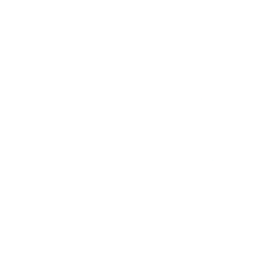 Big Esports Logo