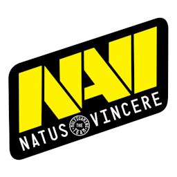 Natus Vincere (NAVI) Esports Logo