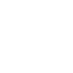 Team SoloMid Esports Logo