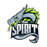 Spirit team logo