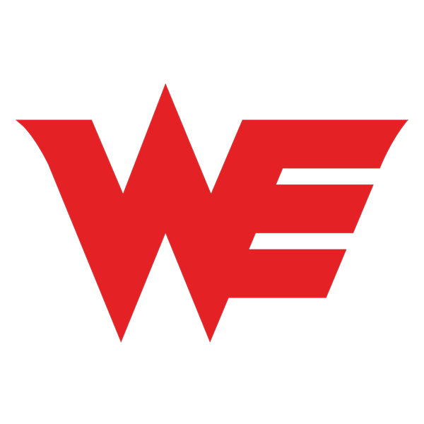 Team WE Esports Logo